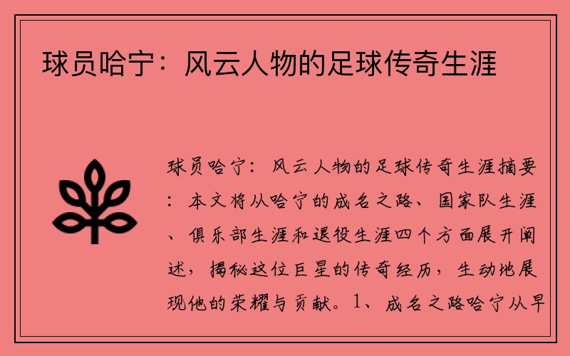 球员哈宁：风云人物的足球传奇生涯